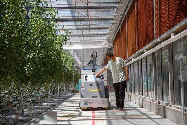 AI 对于农业，从靠天吃饭到算着吃饭